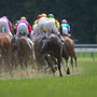 【安田記念／馬場情報】東京は「芝:良／ダ:重」でスタート、午後のレースで馬場コンディションをチェック