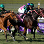 【香港カップ】今年海外GI3勝　異国の地でラヴズオンリーユーが有終の美飾る
