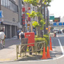 自転車道の反対側。道交法に則れば、車道も歩道も自転車が通行してはならないはず