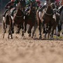 【チャンピオンズC／馬場情報】“パサパサ”の中京ダート　波乱の立役者は大型馬か