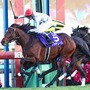 【ドバイターフ／馬単7点】「ドウデュース以上のベスト舞台」　“妙味たっぷり”のここでGI初制覇も視野