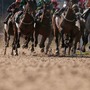 【羽田盃／馬連3点勝負】白毛馬アマンテビアンコは消し　少頭数でも混戦「3歳ダート三冠」初戦を斬る