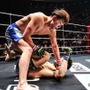 【RIZIN】朝倉未来軍、連勝　BD安井飛馬が完勝でプロ3連勝、驚異の“テイクダウン能力”で黒薔薇くんを圧倒