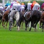【皐月賞／馬場情報】怪時計連発の“超高速”Cコース開催　時計勝負に強い有力馬と穴馬、そしてドンピシャ特注馬