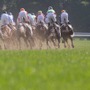 【天皇賞春／馬場情報】内外も前後ろもフラットだが……高速決着で上がりは速い　浮上する単勝オッズ“2桁”の妙味