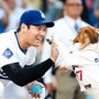 【MLB】大谷翔平が夏を満喫、“プールで遊ぶ”デコピンの姿を公開「大谷さん涼しい写真ありがとう！」「かわいすぎだろ」