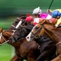 【スプリンターズS／全頭診断】“絶好の買い時”訪れた「3.1.1.0」該当6歳馬　モレイラ騎乗サトノレーヴに全幅の信頼は……