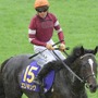【菊花賞】ジョッキーカメラが捉えた川田将雅の2週連続“ハラハラ”ゲート内　「あー！」で発馬の災難にファン既視感