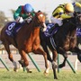 【ジャパンC】「どんなジョッキーカメラより熾烈」各馬のポジション争いにファン熱狂「バッチバチの競り合い」