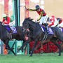 【有馬記念】「レースを支配した」C.デムーロの“神騎乗”ジョッキーカメラ　レガレイラ＆ルメールもお手上げ「バックミラーついてる？」