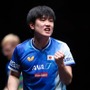 張本智和が“天敵”F・ルブランに連勝し日本勢唯一の4強入り　張本美和は世界4位・陳幸同と激闘もフルゲーム惜敗【WTTチャンピオンズ・ドーハ】
