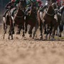【フェブラリーS／馬場情報】乾燥馬場で大型馬と外差しがキーワード、好調の枠＆騎手に“爆穴”が合致