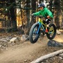 クリスマスプレゼントはSPECIALIZEDのファットバイクがいいかも