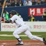 山田哲人 参考画像  (2014年11月12日） (c) Getty Images