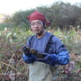 取材後に高萩さんの蓮田（はすだ）を見学に行く。今年から始めたという蓮根栽培だが、初栽培にも関わらずちゃんと蓮根は育っていた。