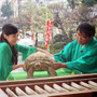 ベッキー＆飼い亀のガラパゴス君＆カンニング竹山／『ミュータント・タートルズ』ヒット祈願 in 亀戸天神