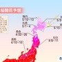 桜前線は東北へ！