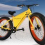 Sondors Electric Bike