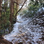 登山道2。だんだんと雪が増えていき…。