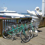 松山観光港、呉港のレンタサイクルに「パリ・ブレスト・スポールV2」採用