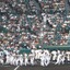 【THE INSIDE】野球のスコアブックをつけてみよう…観戦のススメ 画像