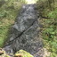 【小さな山旅】だって、低山だもの…茨城県・西金砂山（2） 画像