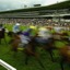 パドックや地下馬道を走る「バックヤードマラソンin中京競馬場」開催 画像