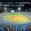 横浜DeNAベイスターズ、80万円の超VIPな野球観戦プラン販売