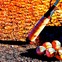 巨人が延長12回の死闘の末、劇的サヨナラ勝利…坂本勇人が決めた