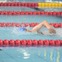 近畿大学、競泳・アーチェリーがリオ五輪・パラリンピック出場…壮行会開催