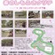 第2回春のしもふさクリテの参加はまだ間に合う