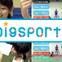 AIが向いているスポーツを提案する「DigSports」発売