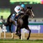 【ドバイシーマC】日本馬イクイノックス、レコード圧逃Vで世界制覇　鞍上ルメールは“ペッパーミル・パフォーマンス”披露