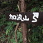 【小さな山旅】低山で道に迷う…加波山（3）