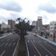 神戸市、大開通りの自転車レーンの供用開始へ