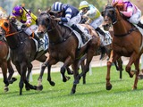 【函館記念／データ攻略】アルナシームとディマイザキッドの「買い or 消し」　“15番人気1着馬”との共通点持つ妙味馬は