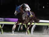 【帝王賞】ミッキーファイトが早め先頭から横綱相撲で優勝　鞍上は「未来のスーパースターホース」と太鼓判