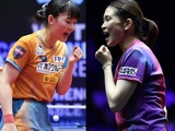 張本美和＆橋本帆乃香にかかる2週連続優勝への期待　大藤沙月らも参戦の女子単は日本勢がタイトル争いか【WTTスターコンテンダーフォズ・ド・イグアス】
