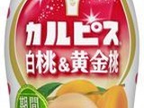 桃の節句に…カルピスに白桃と黄金桃を組み合わせた新味