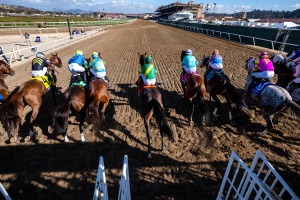【チャンピオンズC／馬場情報】土曜は8枠好走も“イン突き”がコース攻略　枠と血統で浮上した想定“10人気”の爆穴