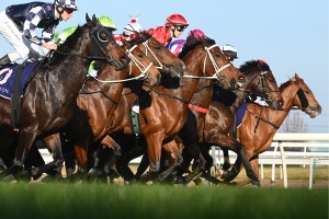 【スプリングS／穴ライズ】馬柱が綺麗な馬に隠れ“盲点”の存在　単勝オッズ10倍以上に再浮上の余地あり