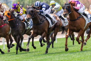 【桜花賞／全頭診断】2強では「2.2.0.0」該当馬にデータの軍配　前走馬券外の“穴候補”も要警戒