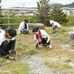 HOME MADE 家族が福島県でボランティアに参加…ボランティアでライブに参加できるロックコープス