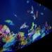 東京デザインウィーク、チームラボの「お絵かき水族館」