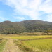 宝篋山（461ｍ）/茨城県。宝篋山（ほうきょうさん）は筑波山近くにある低山。近年人気の登山スポットになっている。