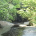 亀ヶ淵。筆者は武生山からのルートを使ったが、龍神大吊橋や龍神ダムからのコースもある。