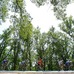 　ツール・ド・フランスは7月５日にモナコ～ブリニョール間187kmで第2ステージが行われ、イギリスのマーク・カベンディッシュ（24＝チームコロンビア）が優勝。昨年の4勝に続く大会通算5勝目。総合成績ではスイスのファビアン・カンチェラーラ（サクソバンク）が同タイ