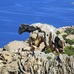 【山口和幸の茶輪記】ジロ・デ・イタリア100回記念大会はサルディニア島で開幕