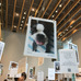 保護犬・保護猫がテーマの写真展「みんなイヌ、みんなネコ」開催
