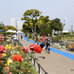「世界トライアスロンシリーズ横浜大会」一般の部エントリー12/5開始